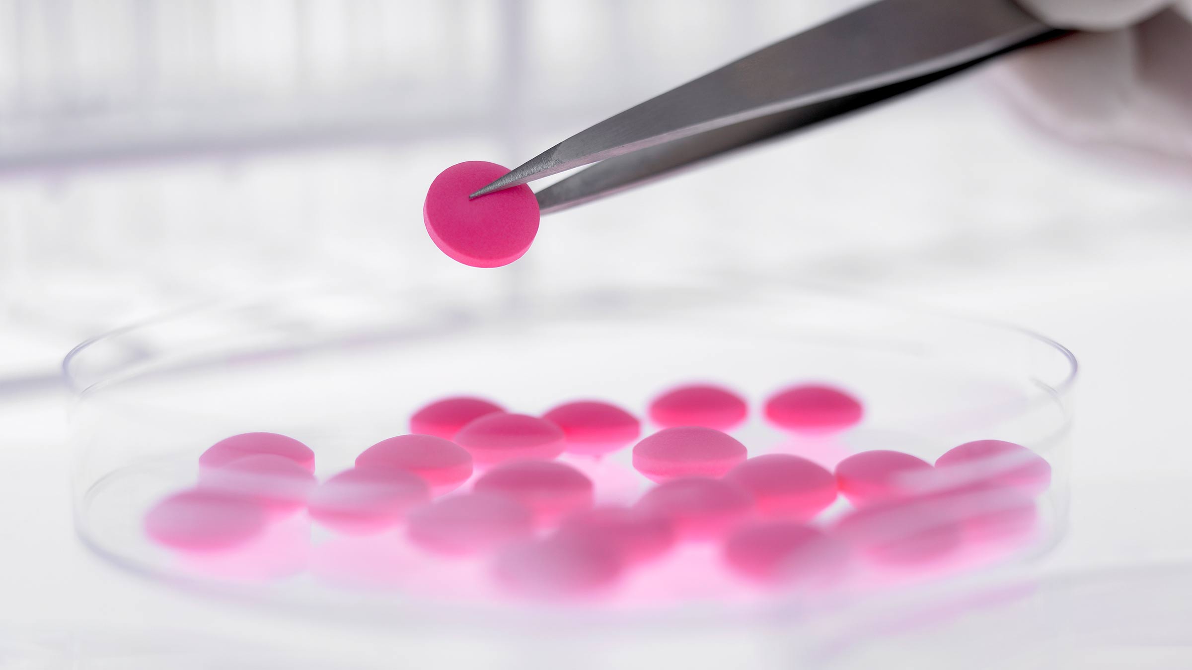 Cluster of round pink pills in a petri dish. One of the pills being held in silver tweezers