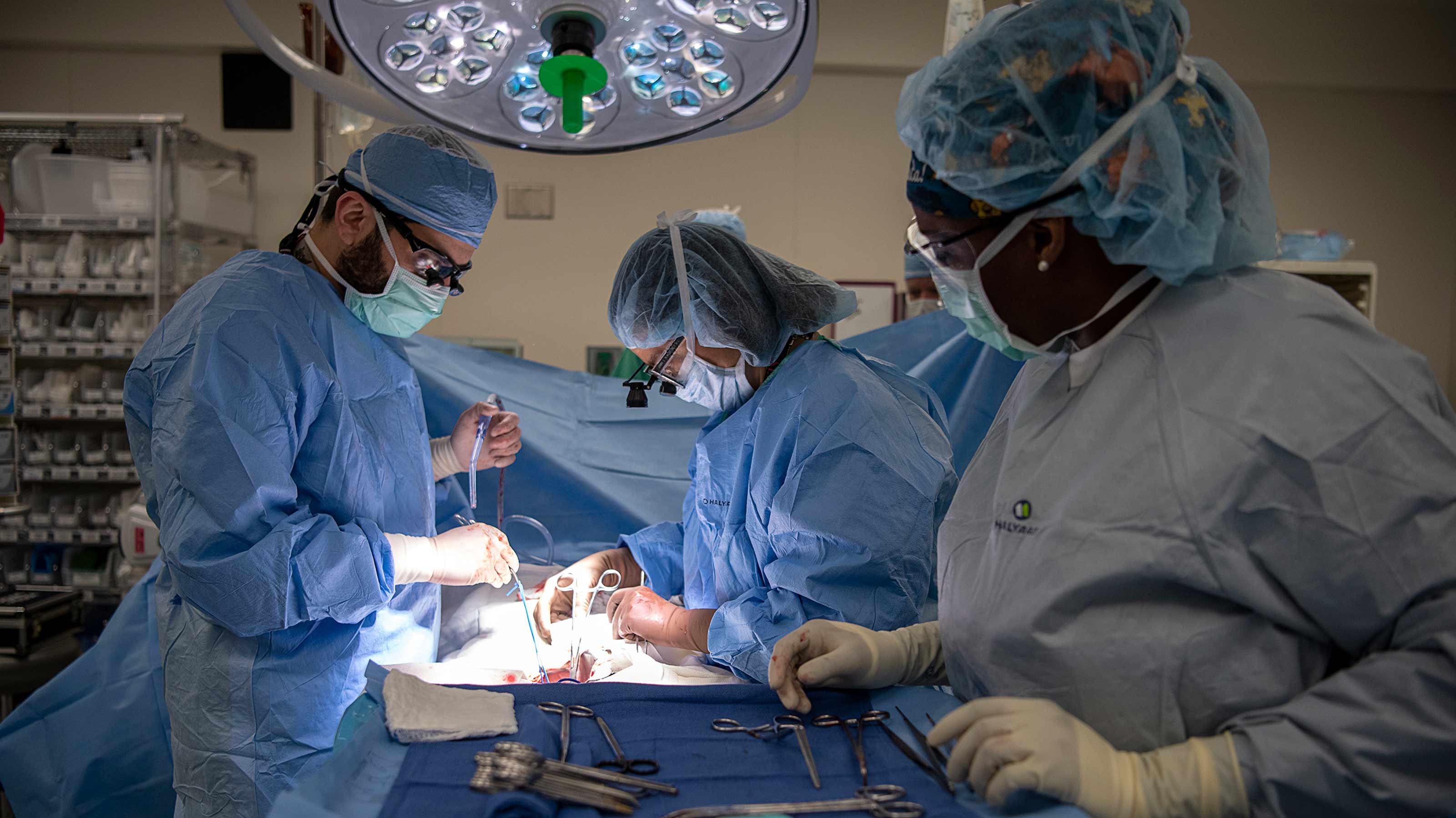 Transforming lives, one organ transplant at a time