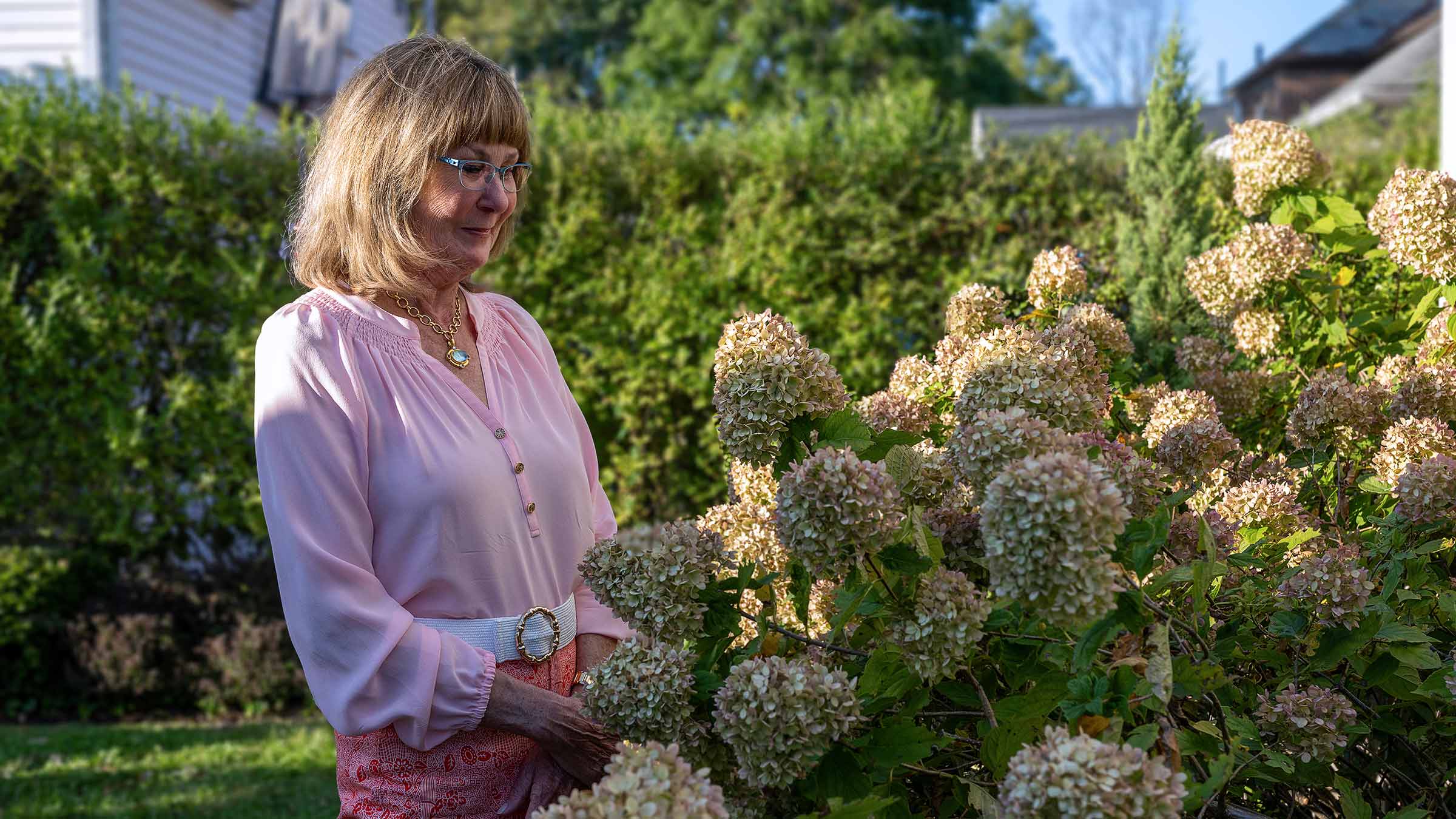  Lung cancer survivor, Laura Dehlendorf, tending to her hydrangeas at her home