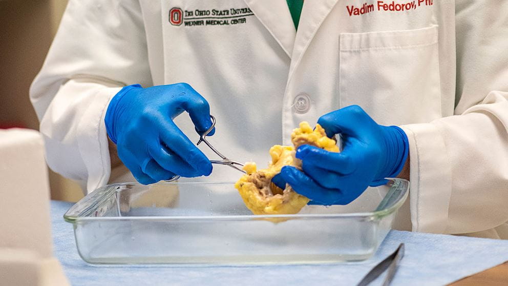 Federov wearing gloves manipulating heart tissue with surgical tools