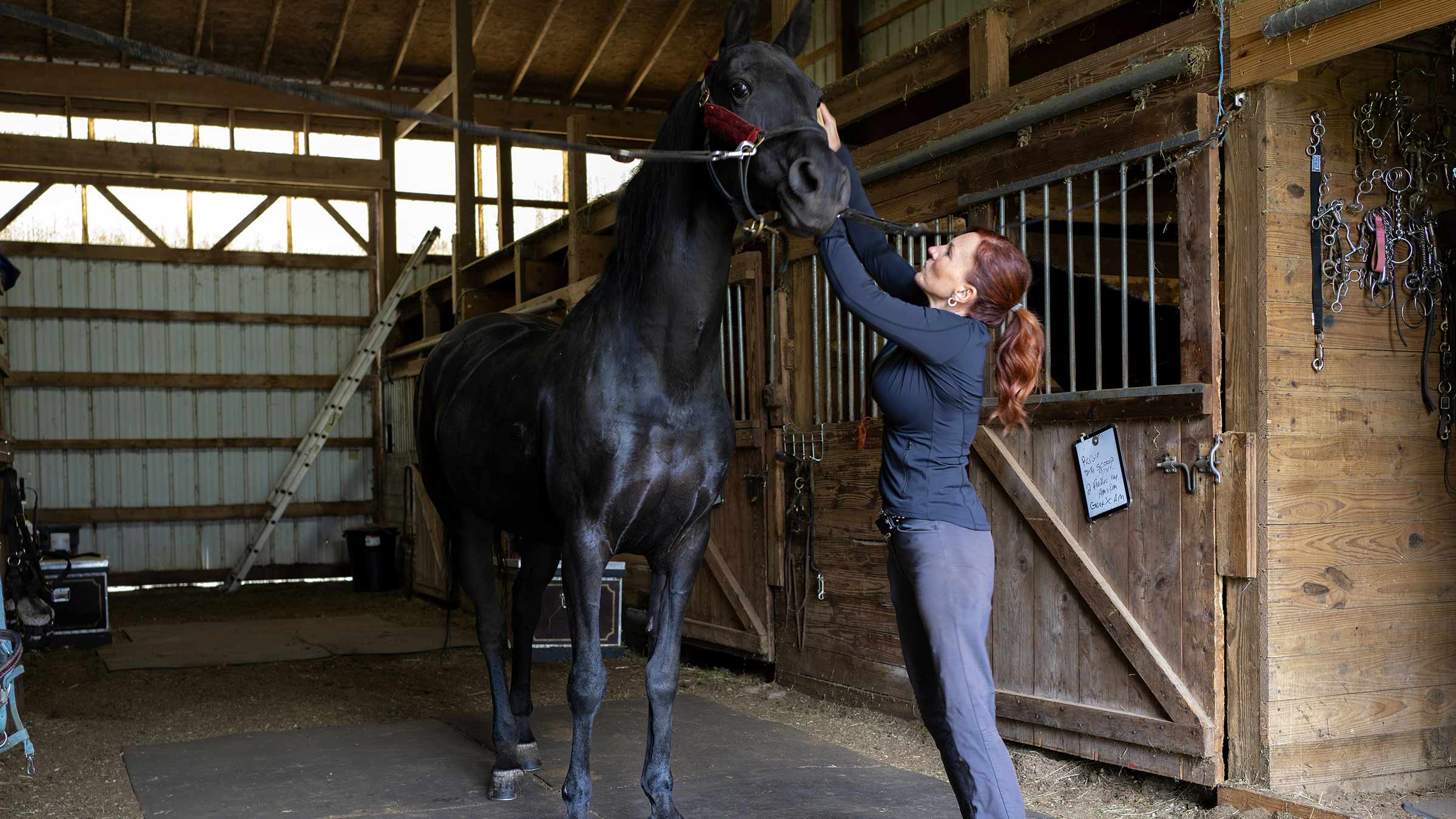 Stacey Finley grooming a horse in a stall