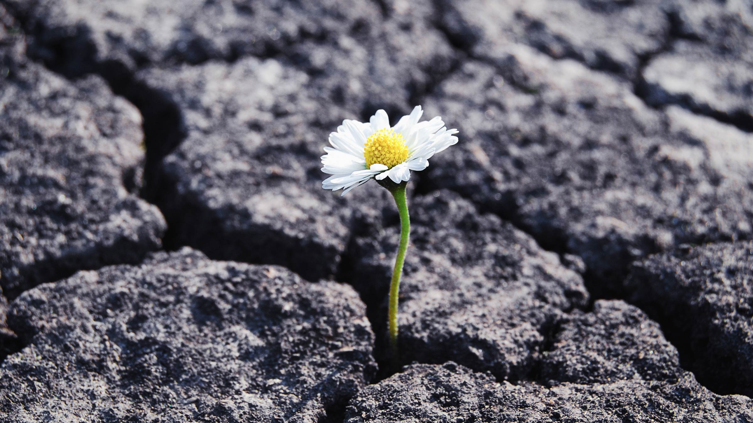 How to be mentally resilient
