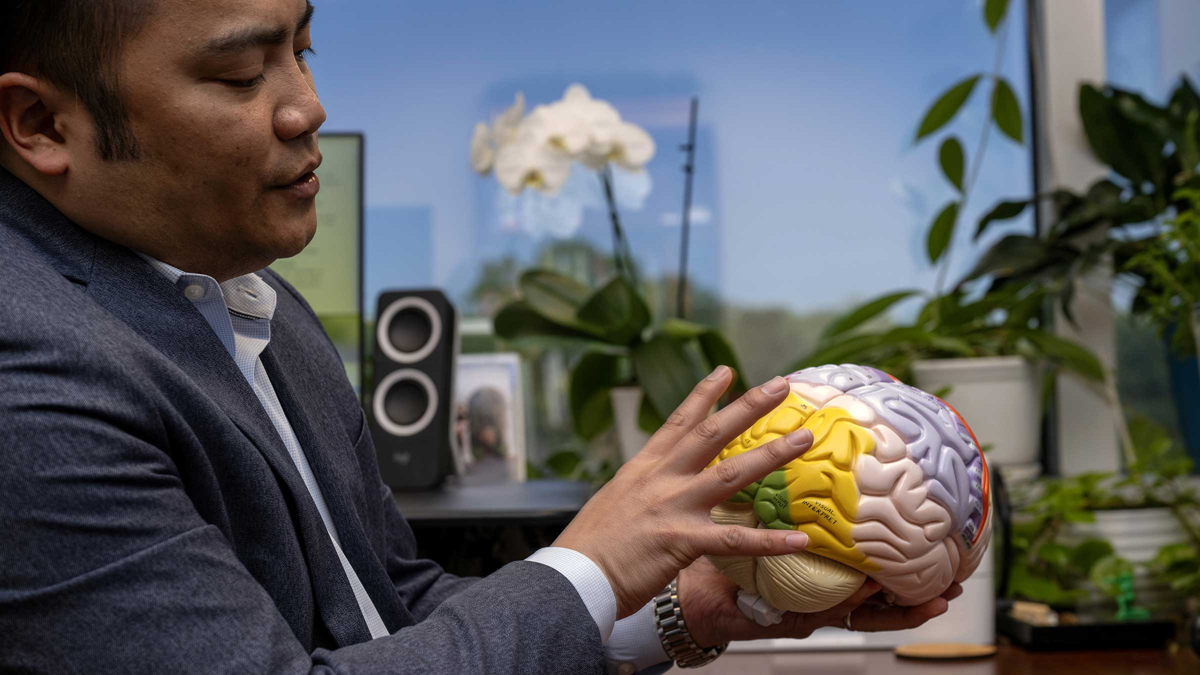 Christopher Nguyen, PhD, ABPP, holding a 3D model of a brain