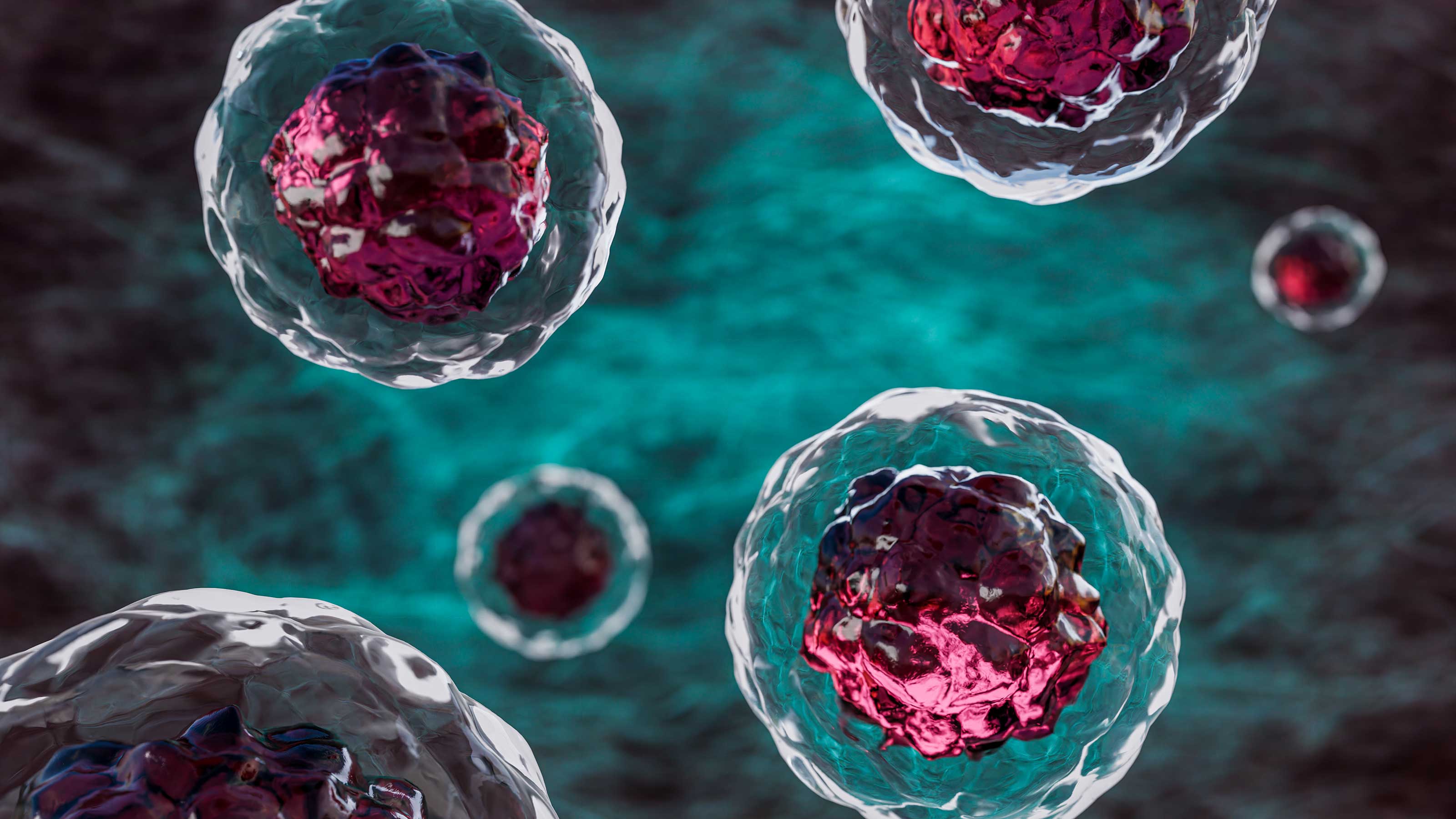Unraveling a cancer research mystery: why normal cells transform into cancer cells