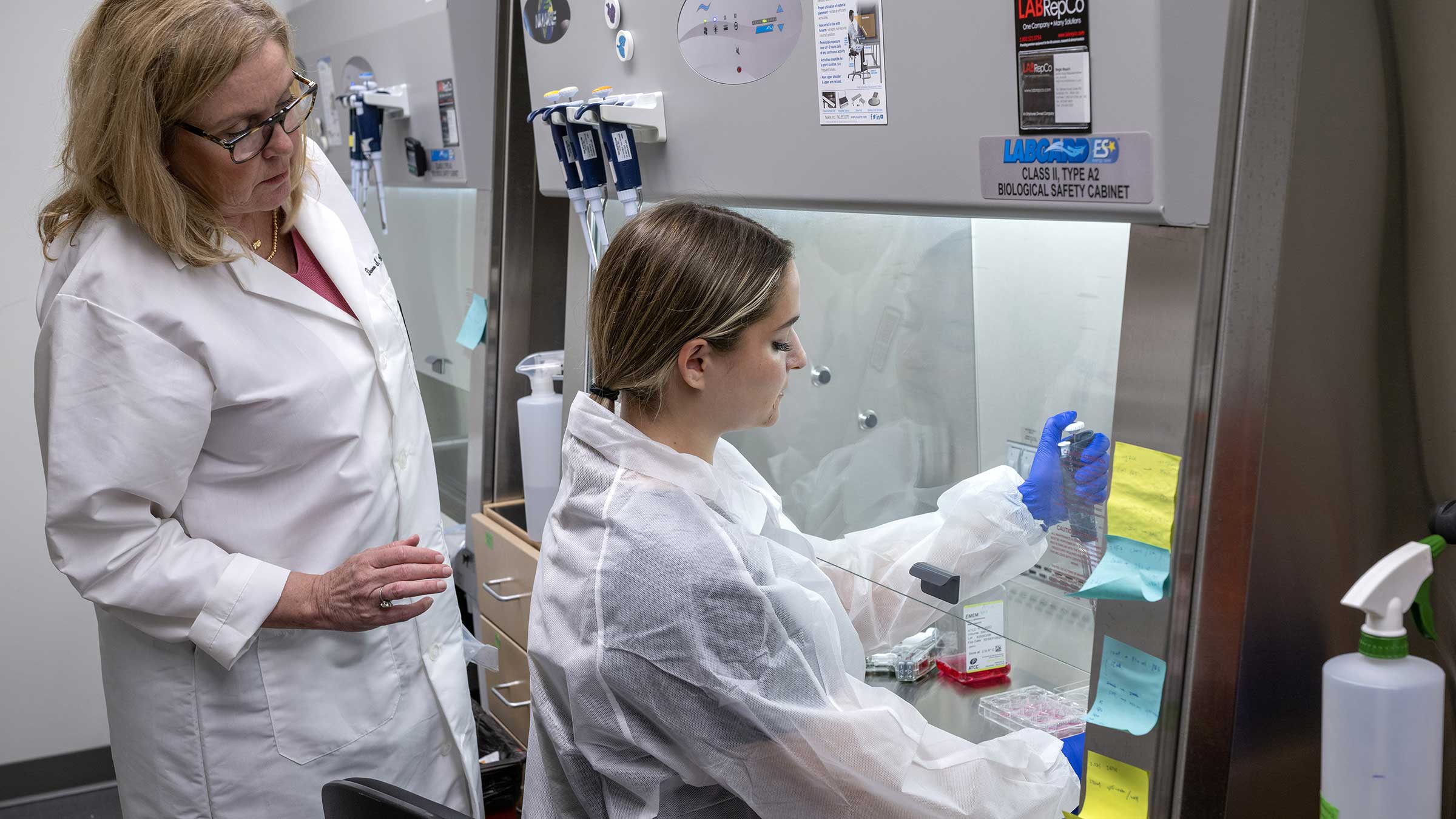 Dr. Dawn Chandler guiding an Ohio State undergraduate student working in the laminar flow hood in the lab