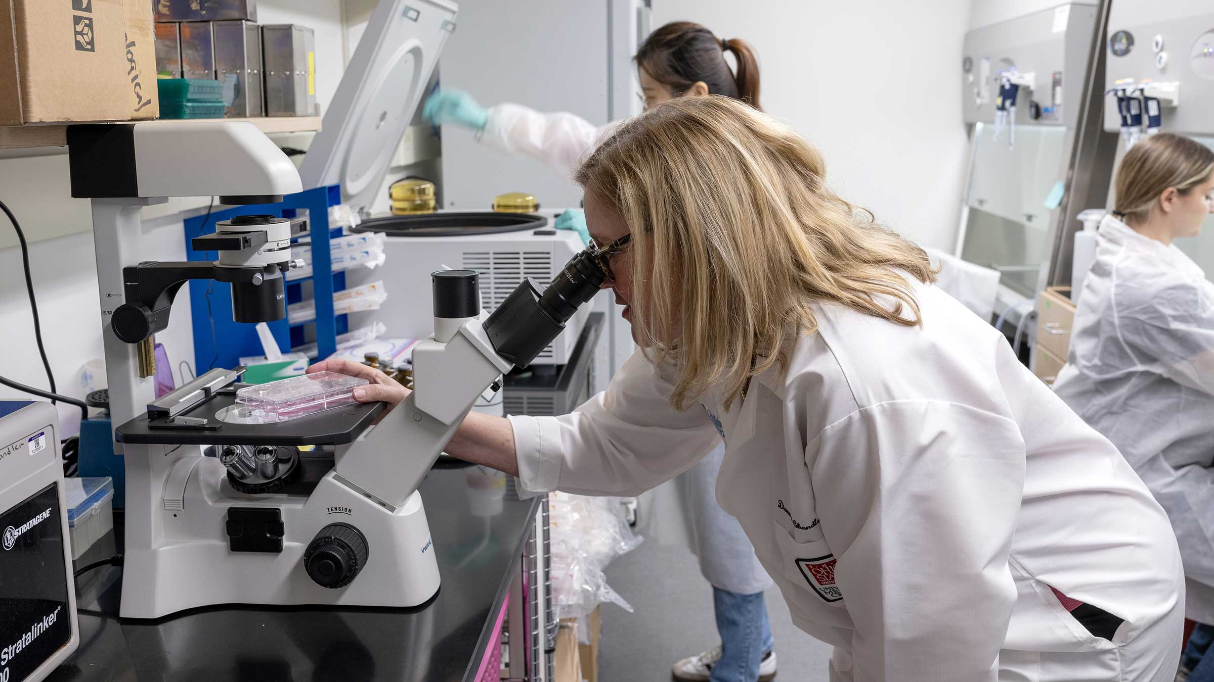 Dr. Chandler inspecting cancer cells under a microscope in her lab